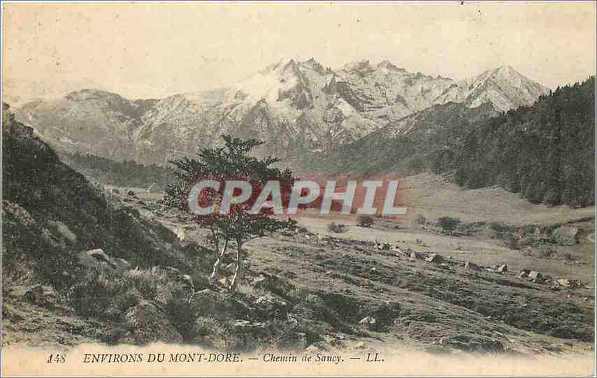 CPA Environs du Mont Dore Chemin de Sancy 