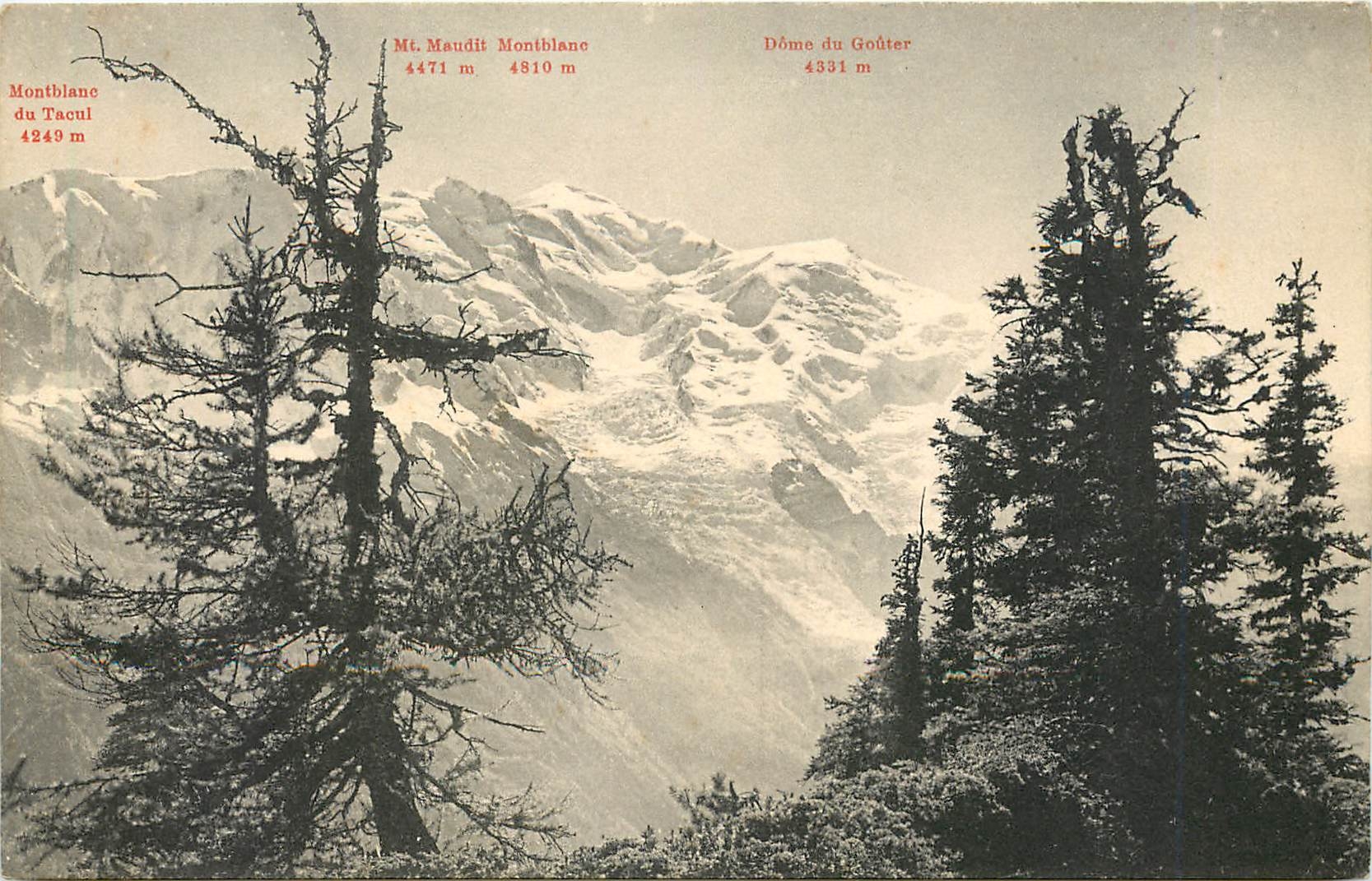 CPA Au Nougat du Mont Blanc Miel Nougat et Bonbons au Miel de Chamonix 