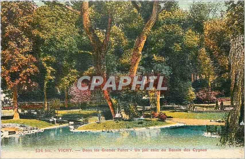 CPA Vichy Dans les Grands Pares Un joil coin du Bassin des Cygnes 
