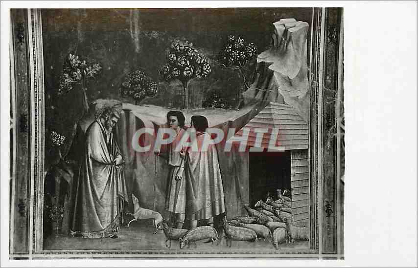 CPA Padova Cappella degli Scrovegni All'Arena S Giovacchino si ritira presso i Pastori 