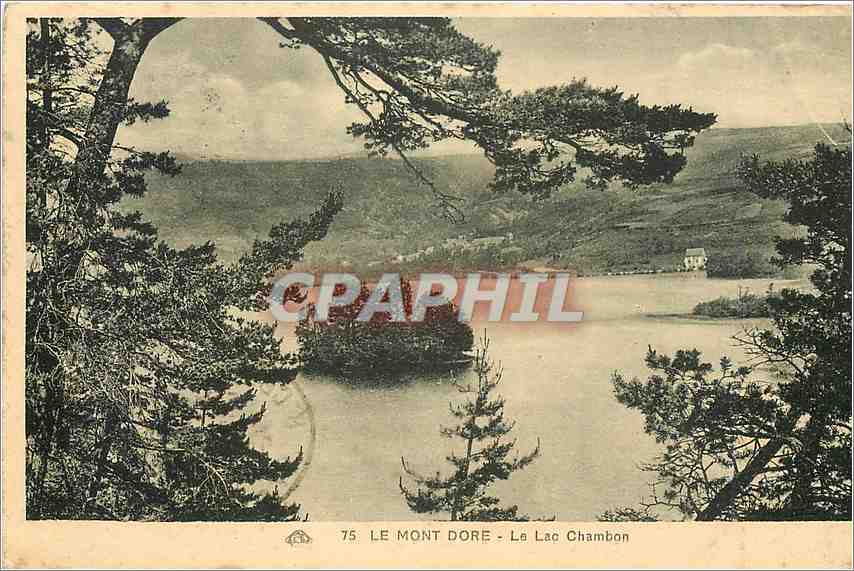 CPA Le Mont Dore Le Lac Chambon 