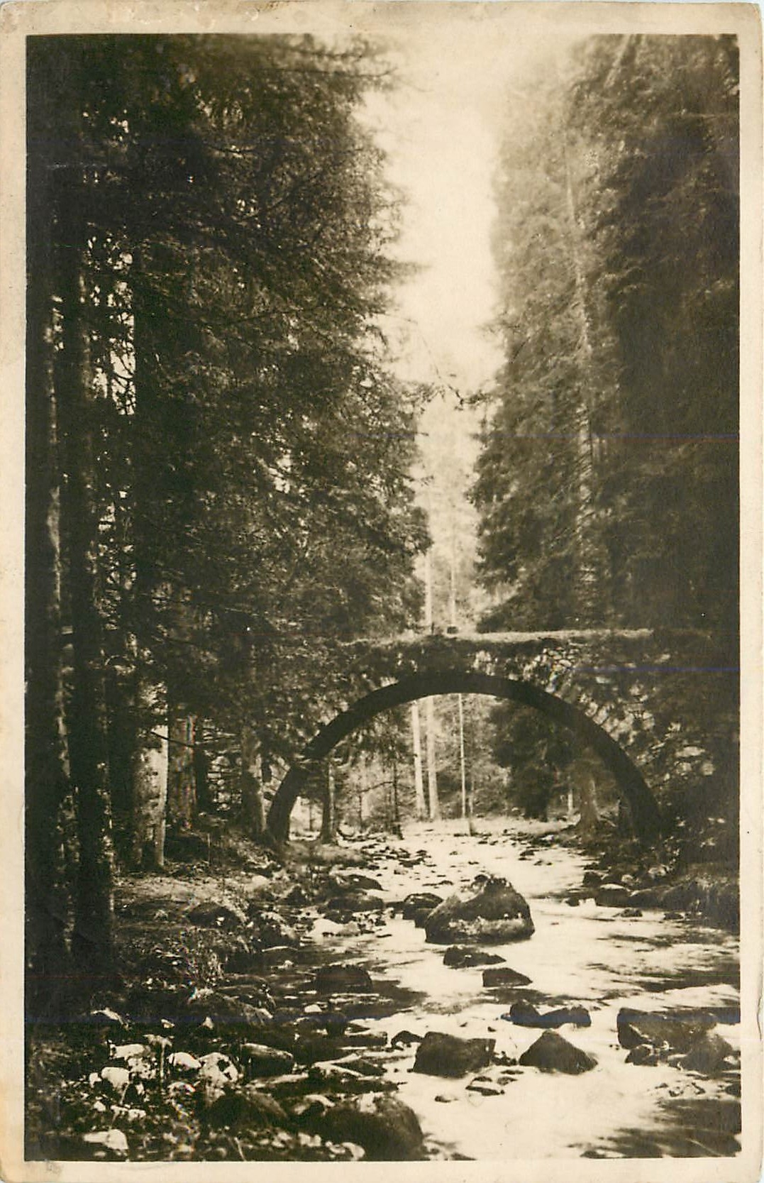 CPA Gerardmer Le Pont des Fees 