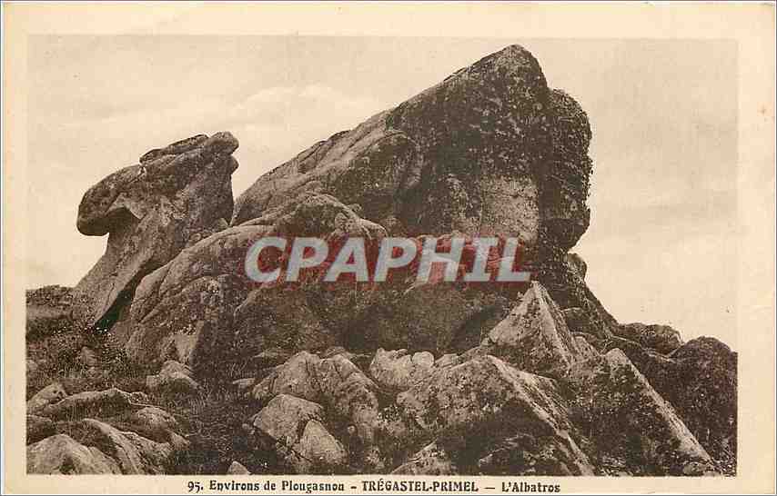 CPA Environs de Plougasnon Tregastel Primel L'Albatros 