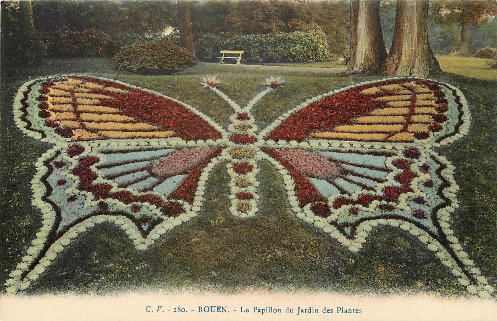 CPA Rouen Le Papillon du Jardin des Plantes 