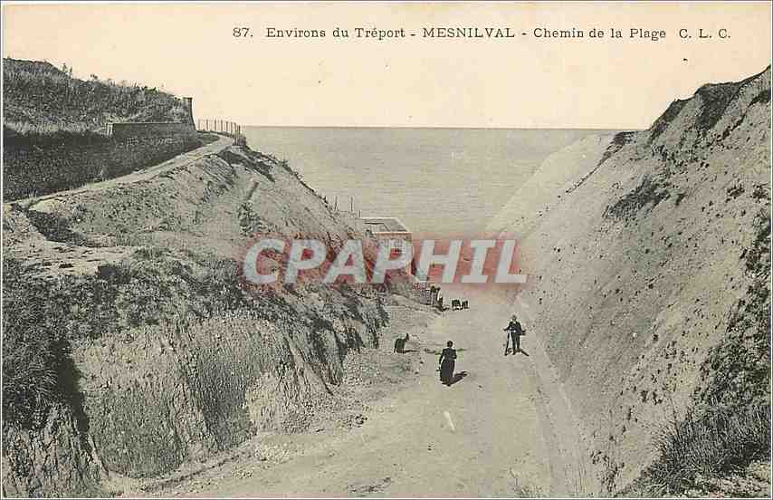CPA Environs du Treport Mesnilval Chemin de la Plage 