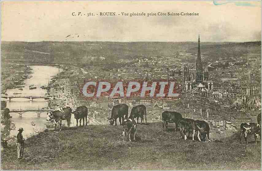 CPA Rouen Vue Generale prise Cote Sainte Catherine Vaches