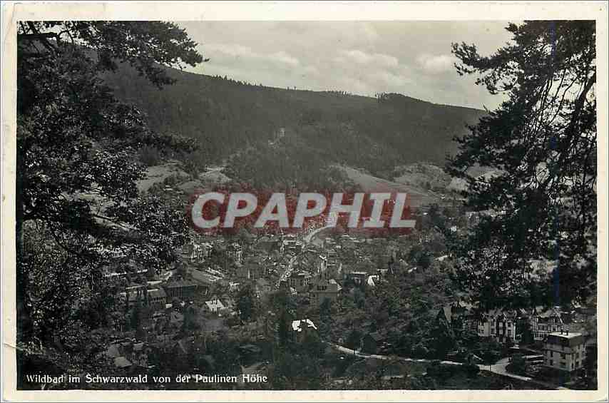 CPA Wildbad im Schwarzwald von der Paulinen Hohe