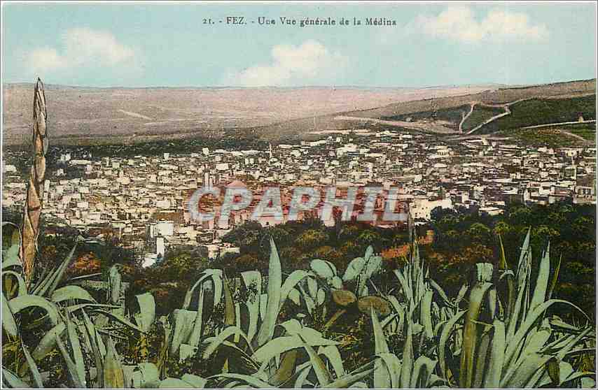 CPA Fez une vue generale de la Medina