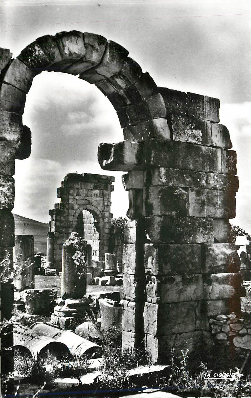 CPA Volubilis Porte Est de la Basilique