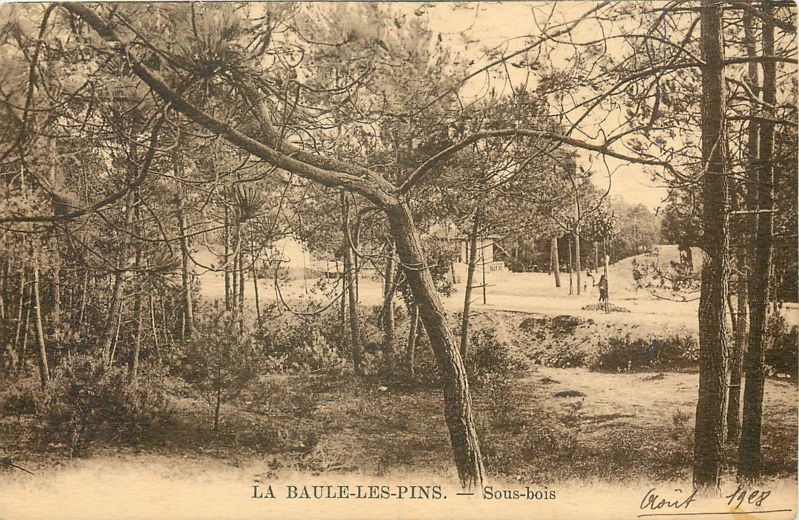 CPA La bauleles pins sous bois