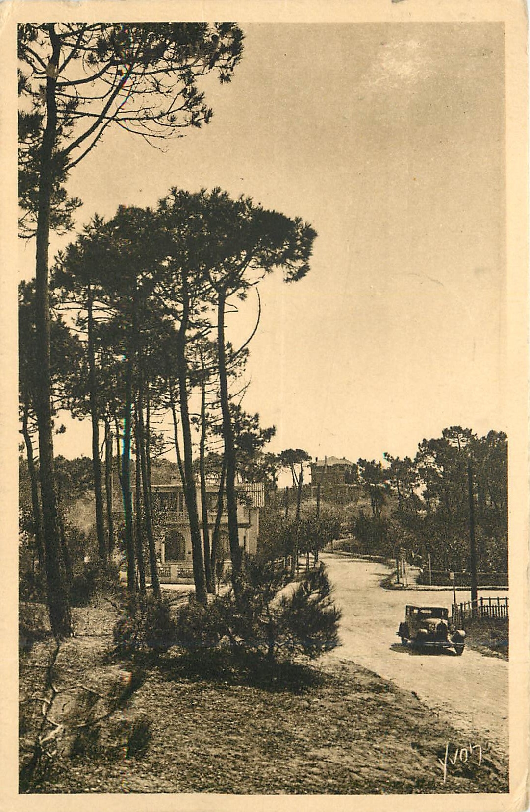 CPA La baule les Pins Loire inf une vue de la foret
