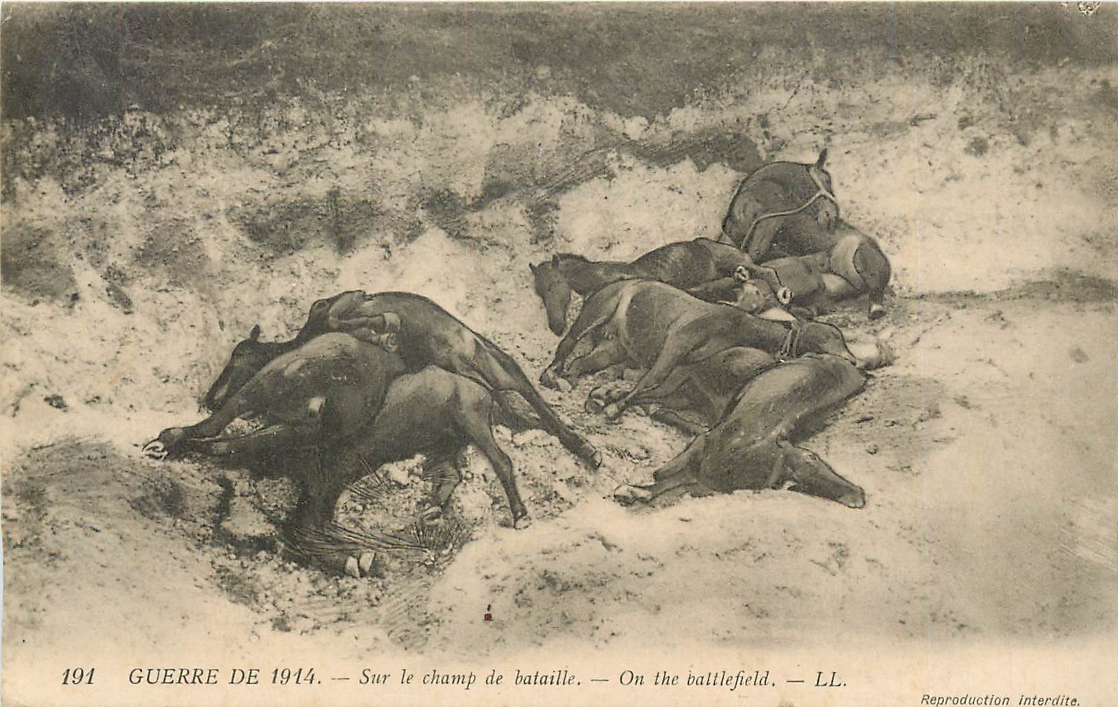 CPA Guerre 1914 Sur le champ de bataille Chevaux Militaria