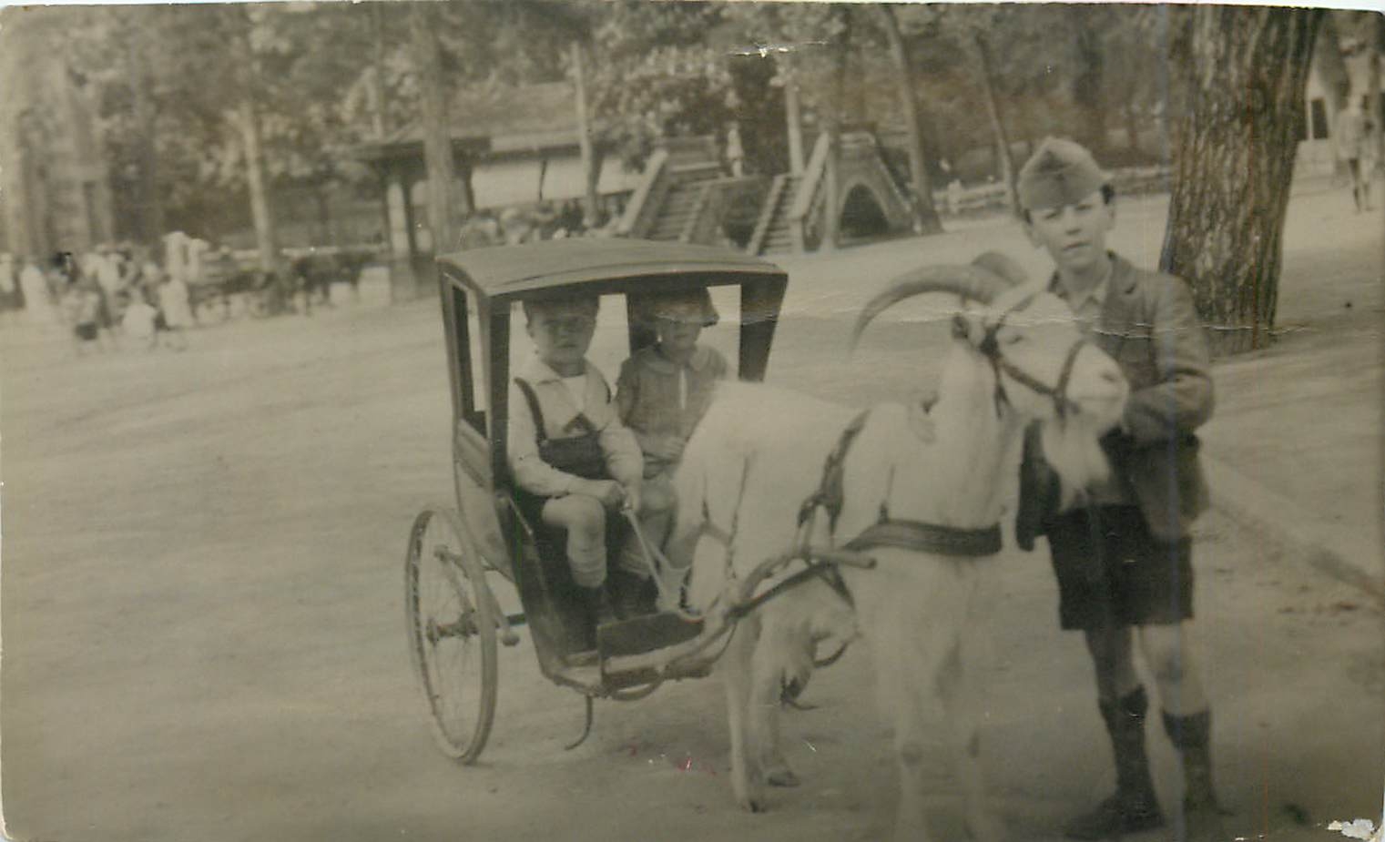 CARTE PHOTO Enfants Bouc Chevre