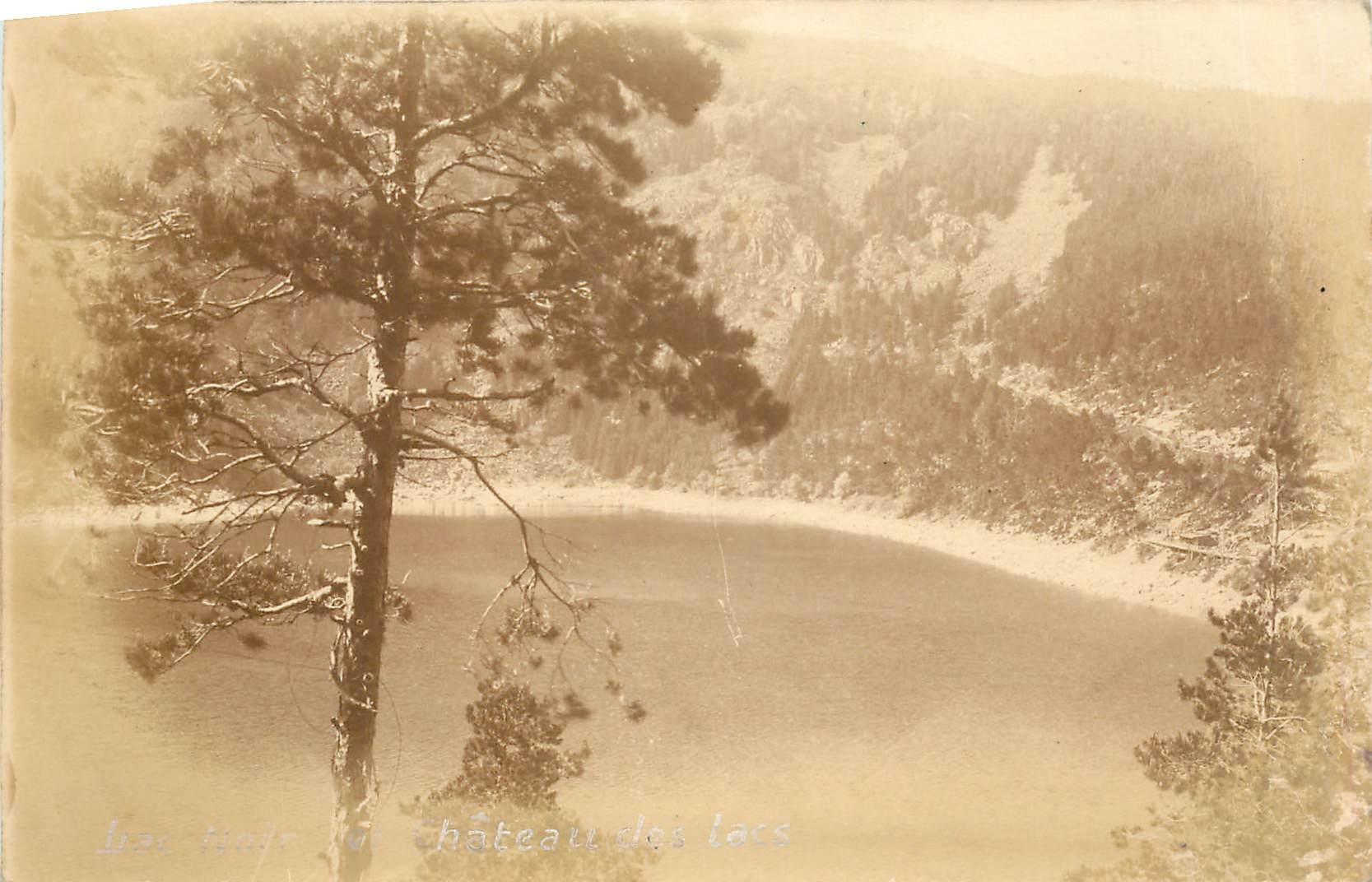CPA Arbres Lac