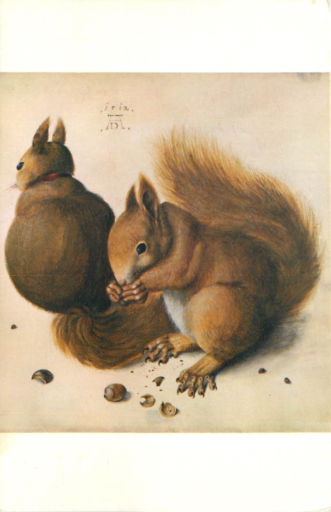 CPA Durer 1471 1528 les ecureuils