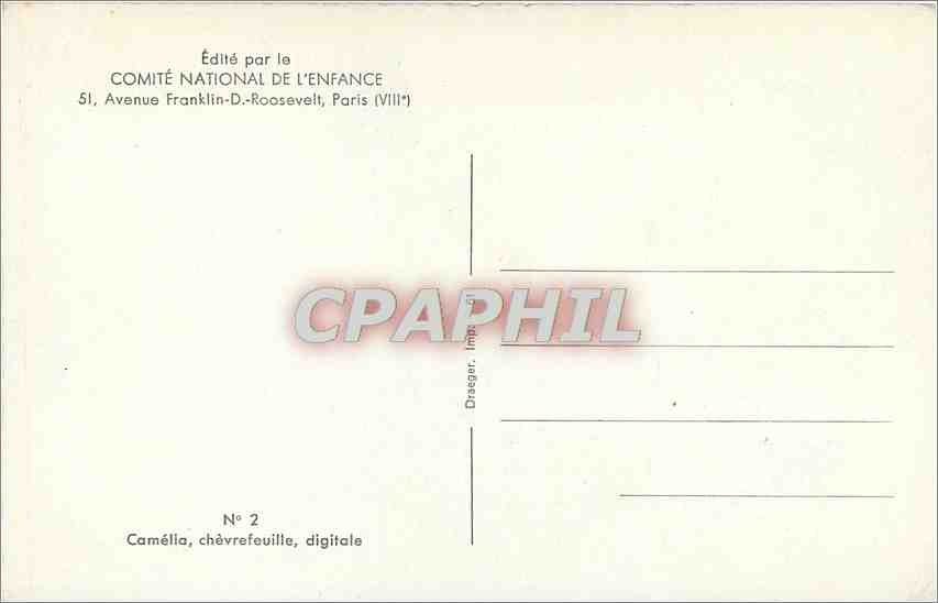 CPM Comite national de l'enfance 51 venue franklin D Roosevelt Paris VIII Camelia chevrefeuille — Rückseite