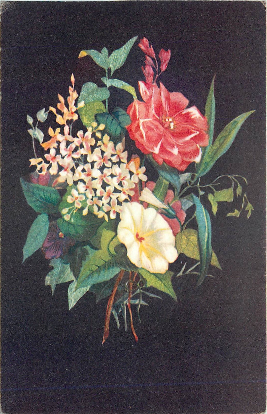 CPM Comite national de l'enfance 51 venue franklin D Roosevelt Paris VIII Fleurs Nenuphar