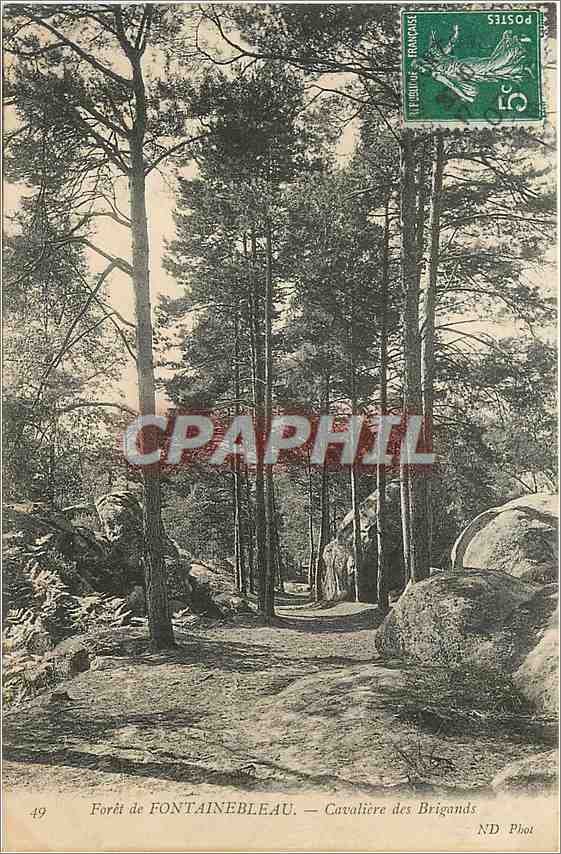 Forêt de FONTAINEBLEAU — Cavalière des Brigands — ND Phot