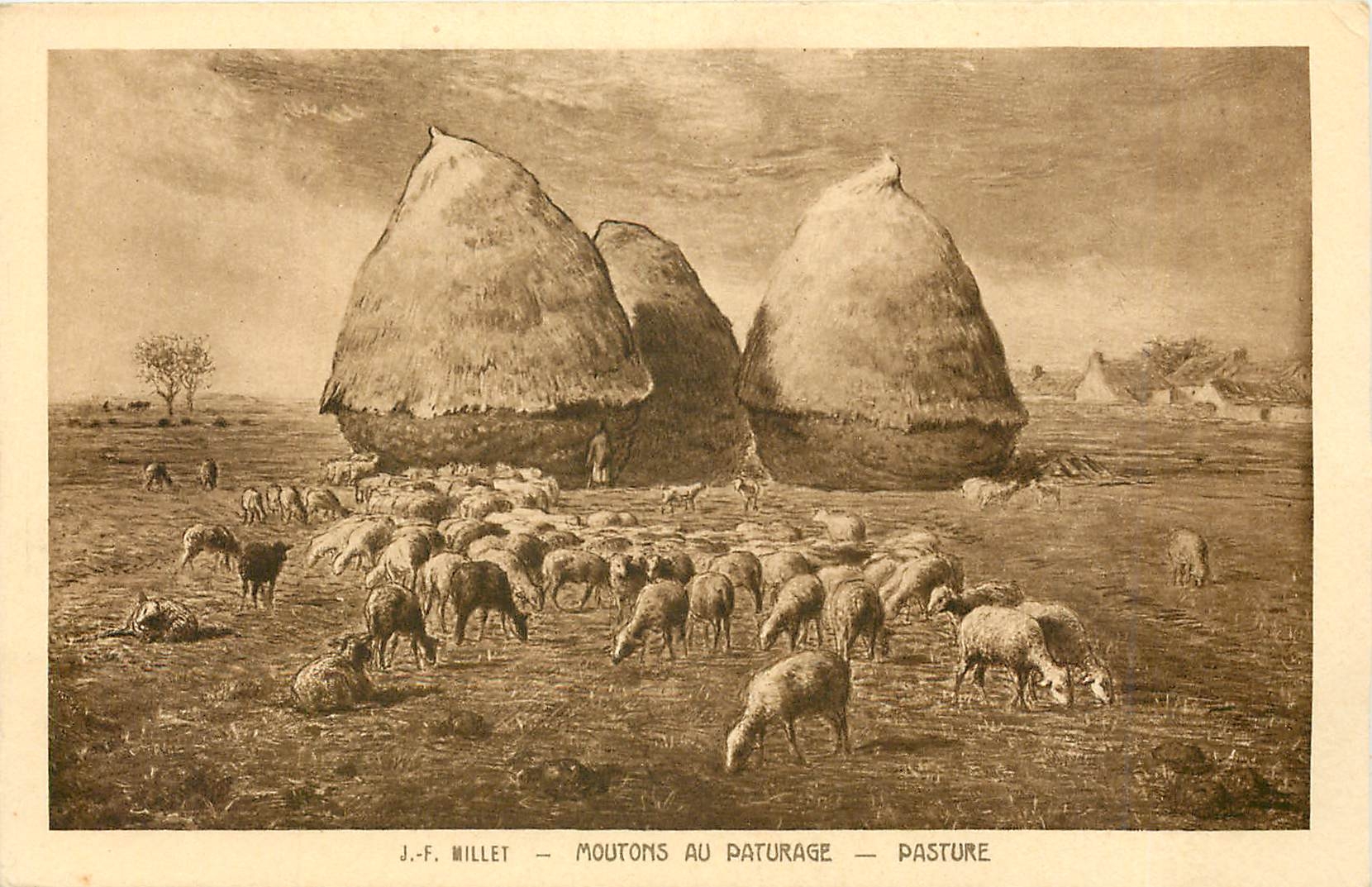 CPA Millet moutons au paturage pasture