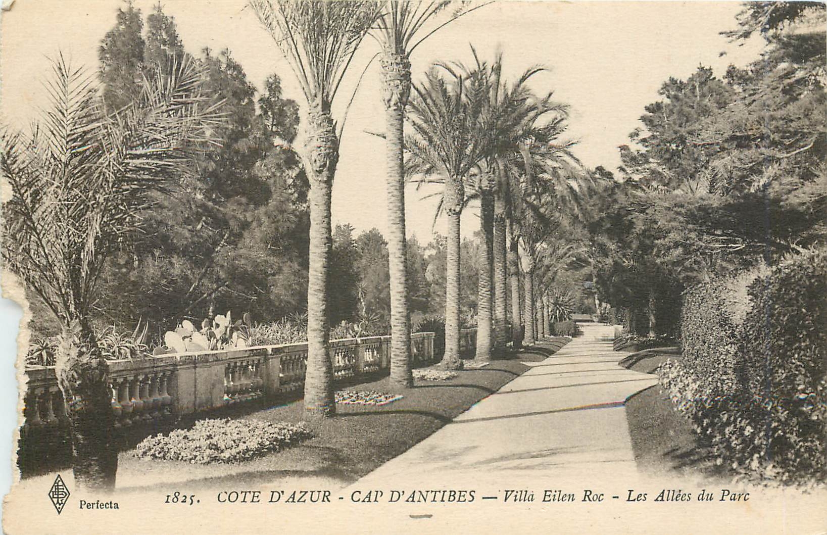 CPA Cote d' Azur cap d'Antibes Villa Eile Roc Les Allees du Parc