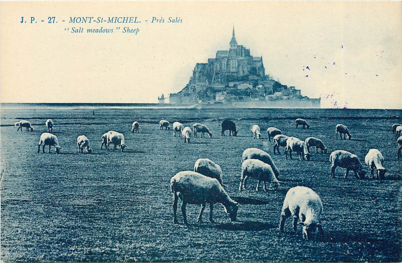 Mont-Saint-Michel - Près Salés — « Salt meadows » Sheep — J.P. 27