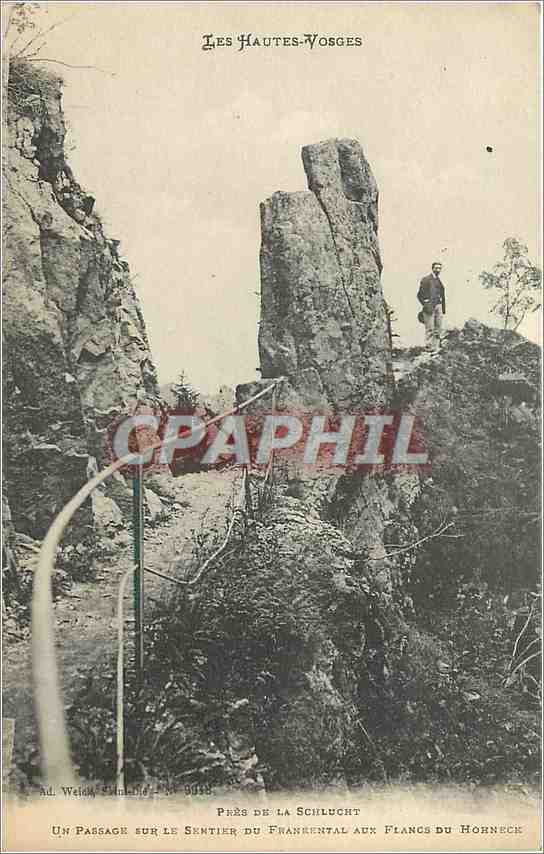Les Hautes-Vosges — Passage sur le sentier du Frankental aux flancs du Hohneck — Ad. Weick, Éditeur, n° 9038