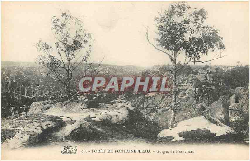 CPA Foret de fontainebleau Gorges de Franchard