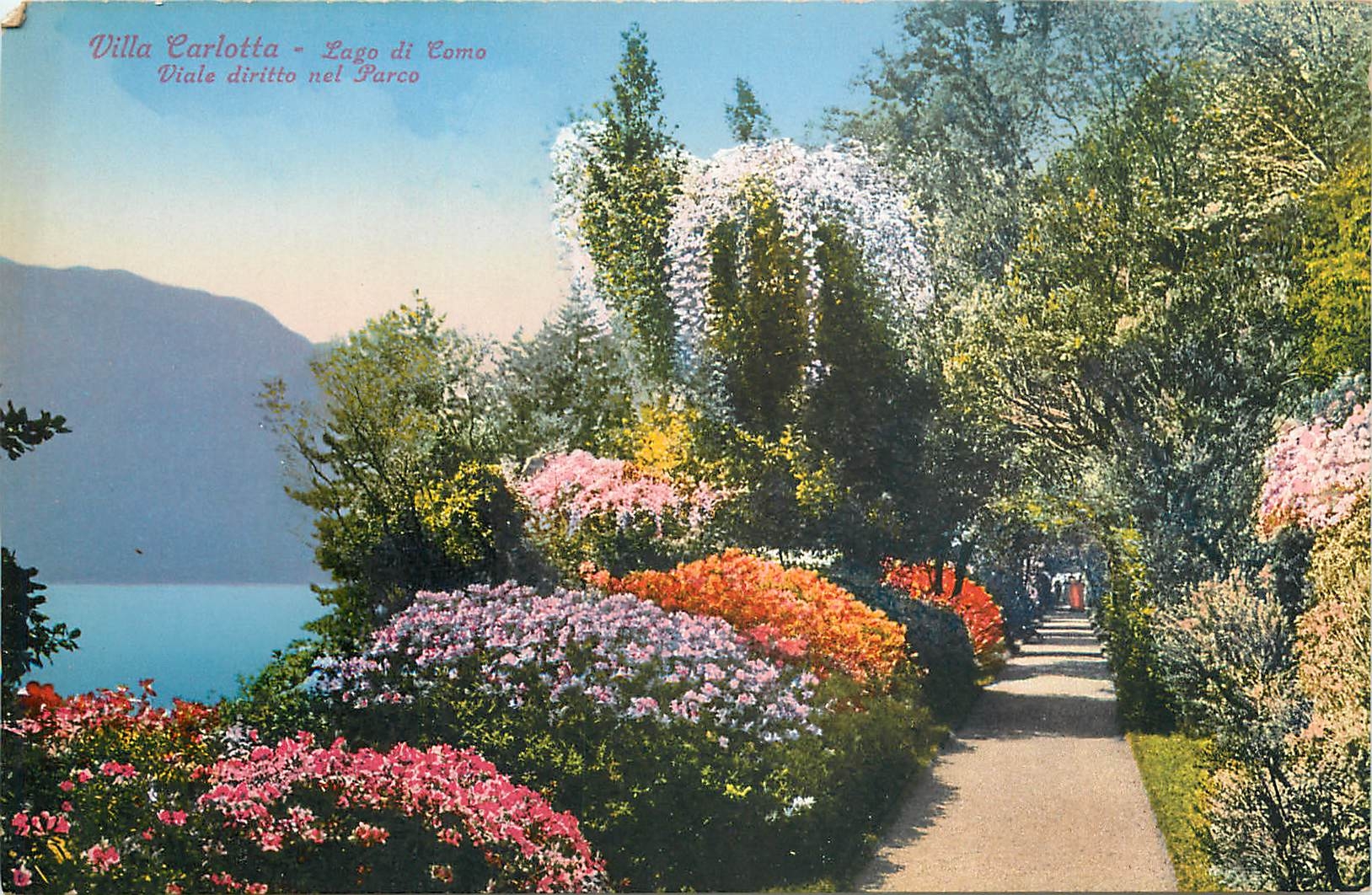 CPA Villa carlotta lago di Como Nel Parco