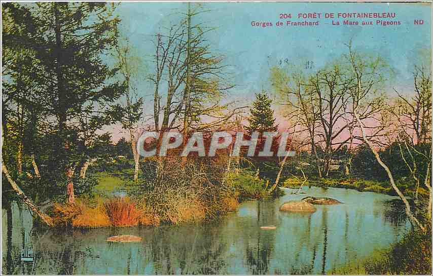 CPA Foret de fontainebleau Gorges de franchard Le Mars aux pigeons