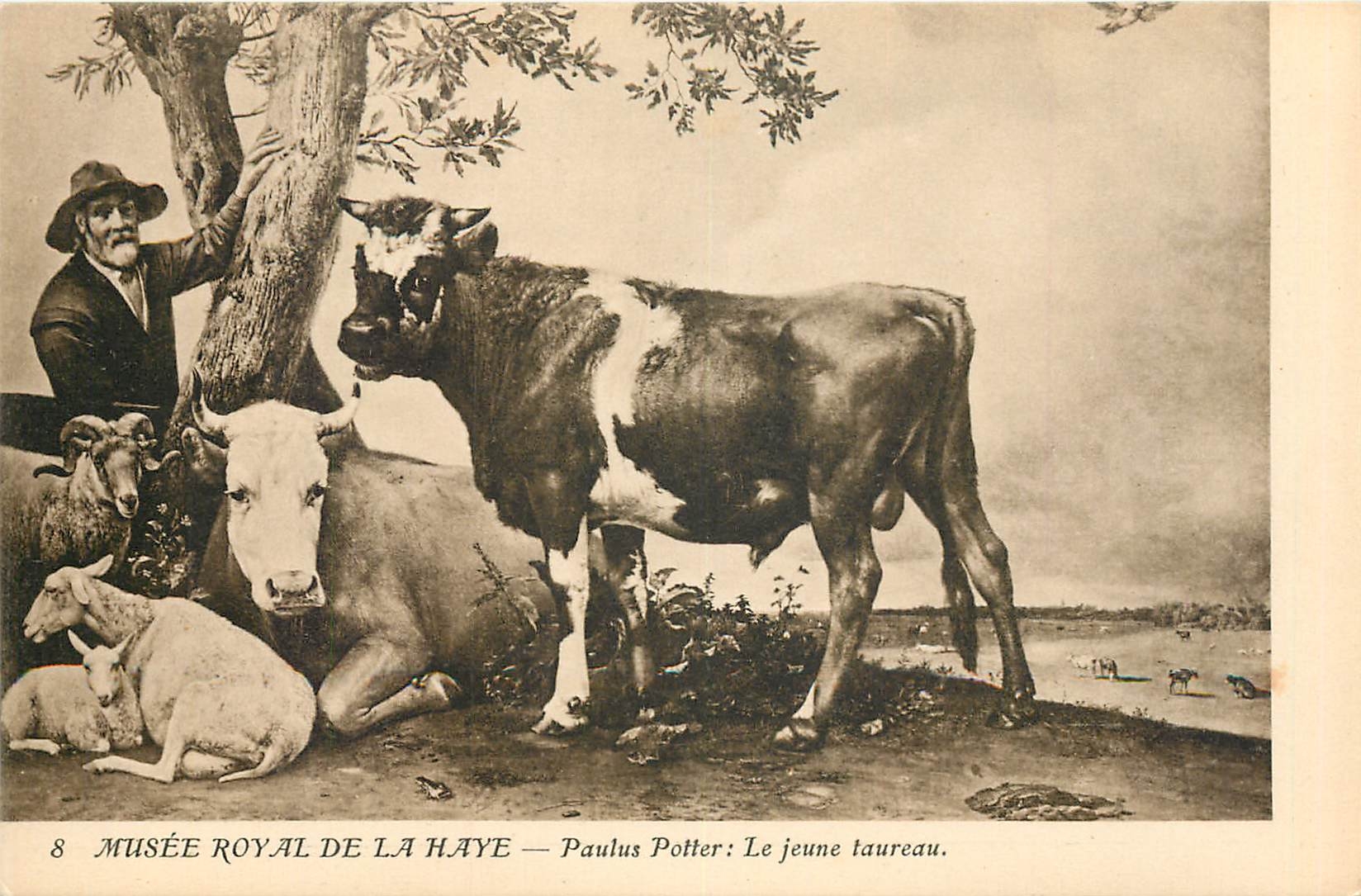 CPA Musee Royal de la haye Paulus potter le Jeune Taureau
