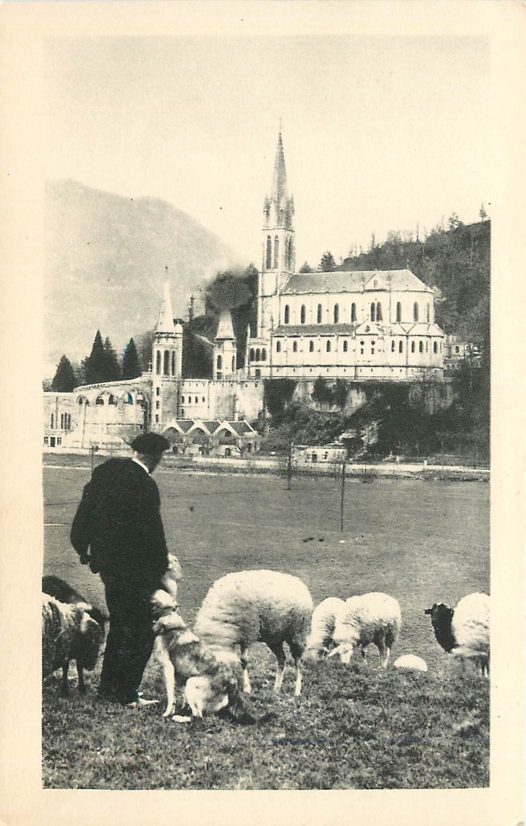 CPA Lourdes la basilique Berger et moutons