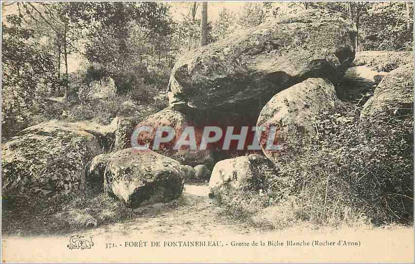 Forêt de Fontainebleau — Grotte der Weißen Hirschkuh (Rocher d'Avon) — n° 377