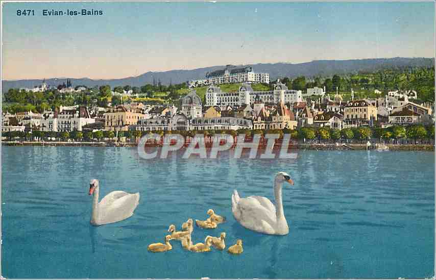 CPA Evian les bains Cygnes