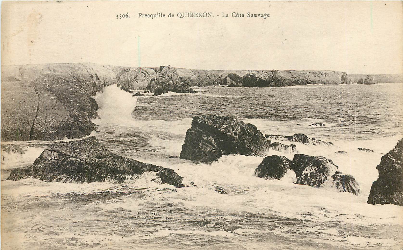 CPA Presquile de Quiberon La Cote Sauvage 