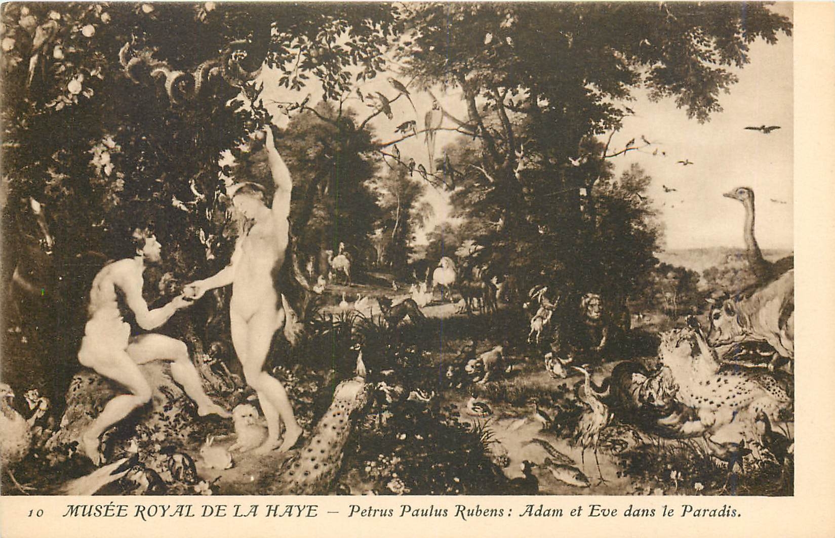 CPA Musee Royal de la Haye Petrus Paulus Rubens Adam et Eve dans le Paradis 