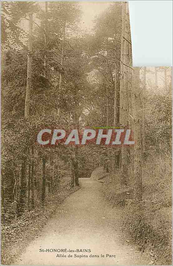 St-HONORÉ-les-BAINS — Allée de Sapins dans le Parc — CPAPHIL