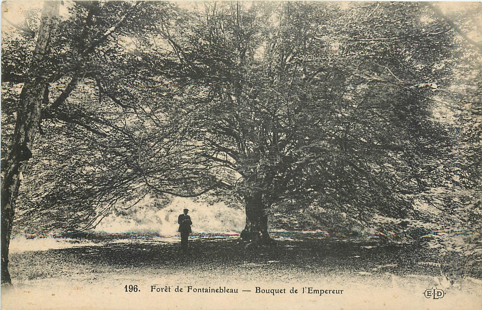 Forêt de Fontainebleau — Bouquet des Kaisers — Verlag E.P.D. n°196