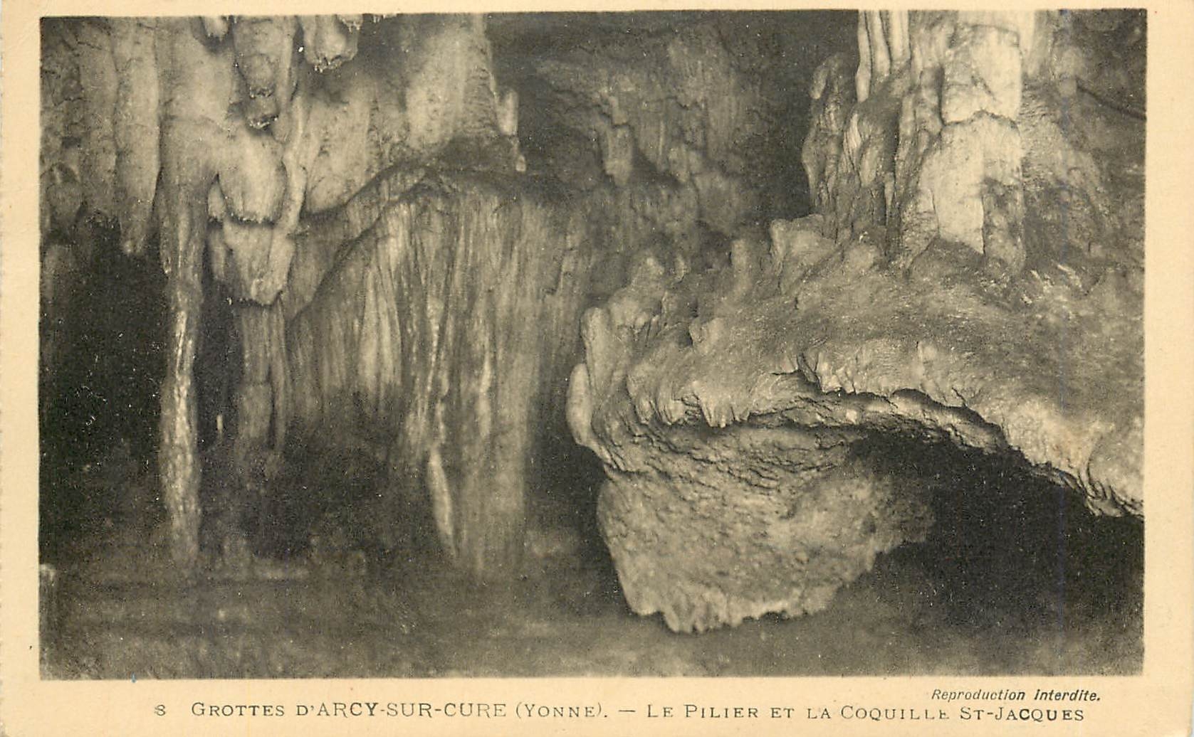 CPA Grottes d'Arcy sur Cure Yonne Le Pilier et la Coquille St Jacques 