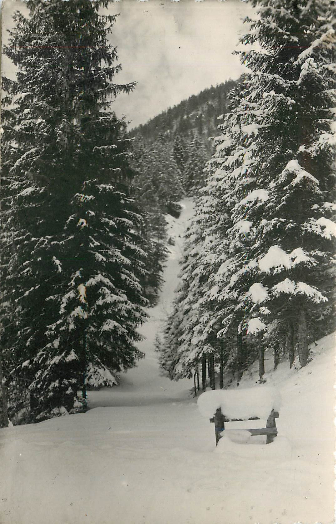 Lajoux — Wald unter Schnee — Les Éditions de la B.L. Lagnieu