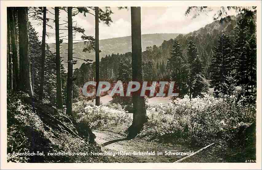 CPA Rotenbach Tal Zwisden Schwann Neuenburg Hofen Birkenfeld im Schwarzwald 