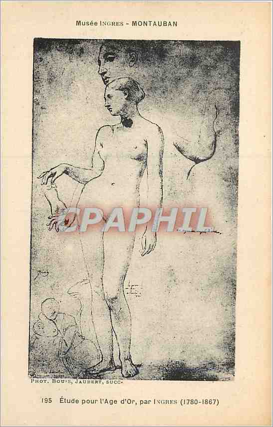 CPA Musee Ingres Montauban 