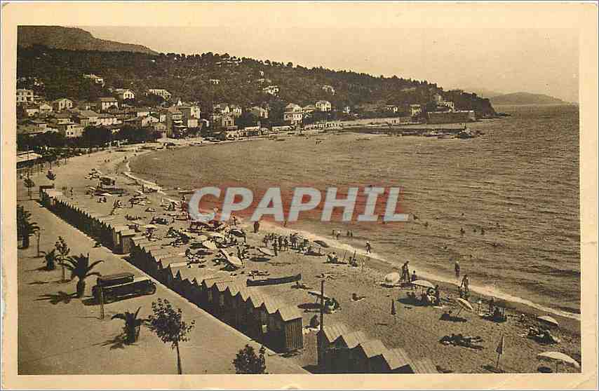 CPA Le Lavandou Vue de la Plage 