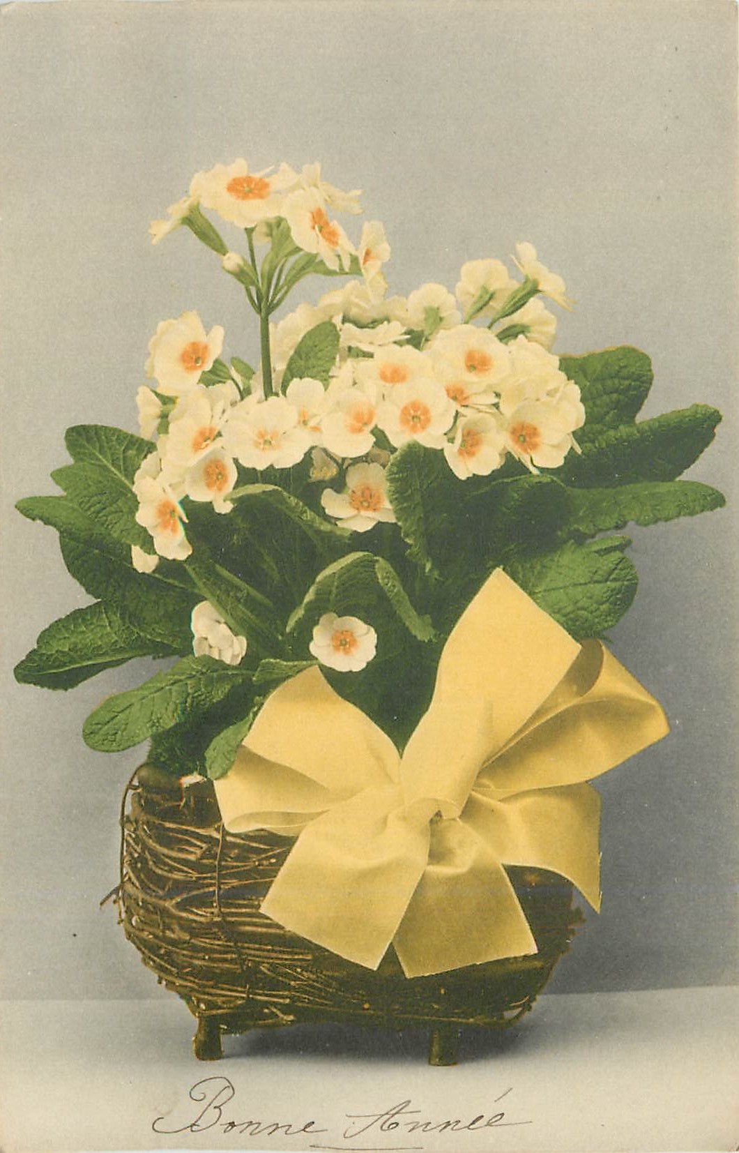 CPA Fleurs