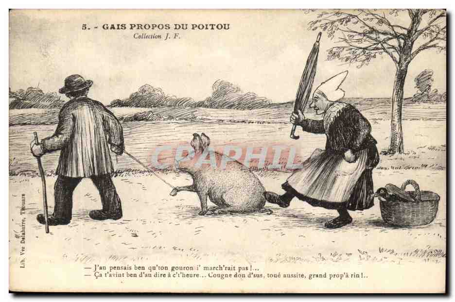 CPA Gais propos du PoitouJ'en pensais qu'on gouron (cochon pig) Illustrateur