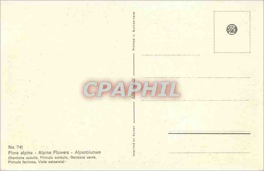 CPA Flora Alpine Flowers  — Rückseite