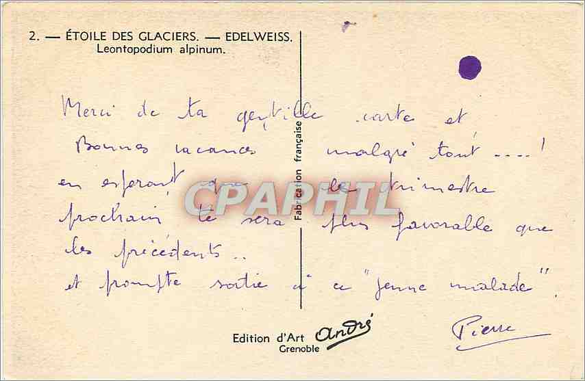 CPA Etoile des Glaciers Edelweiss  — Rückseite