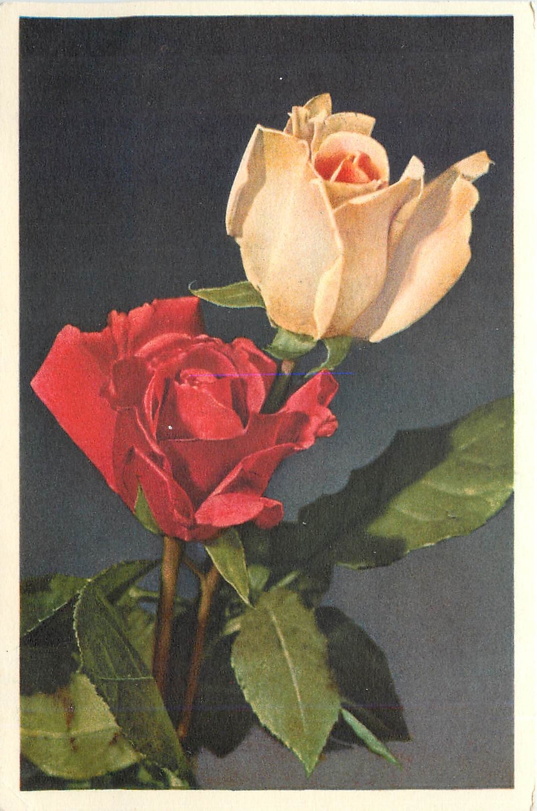 CPA Fleurs