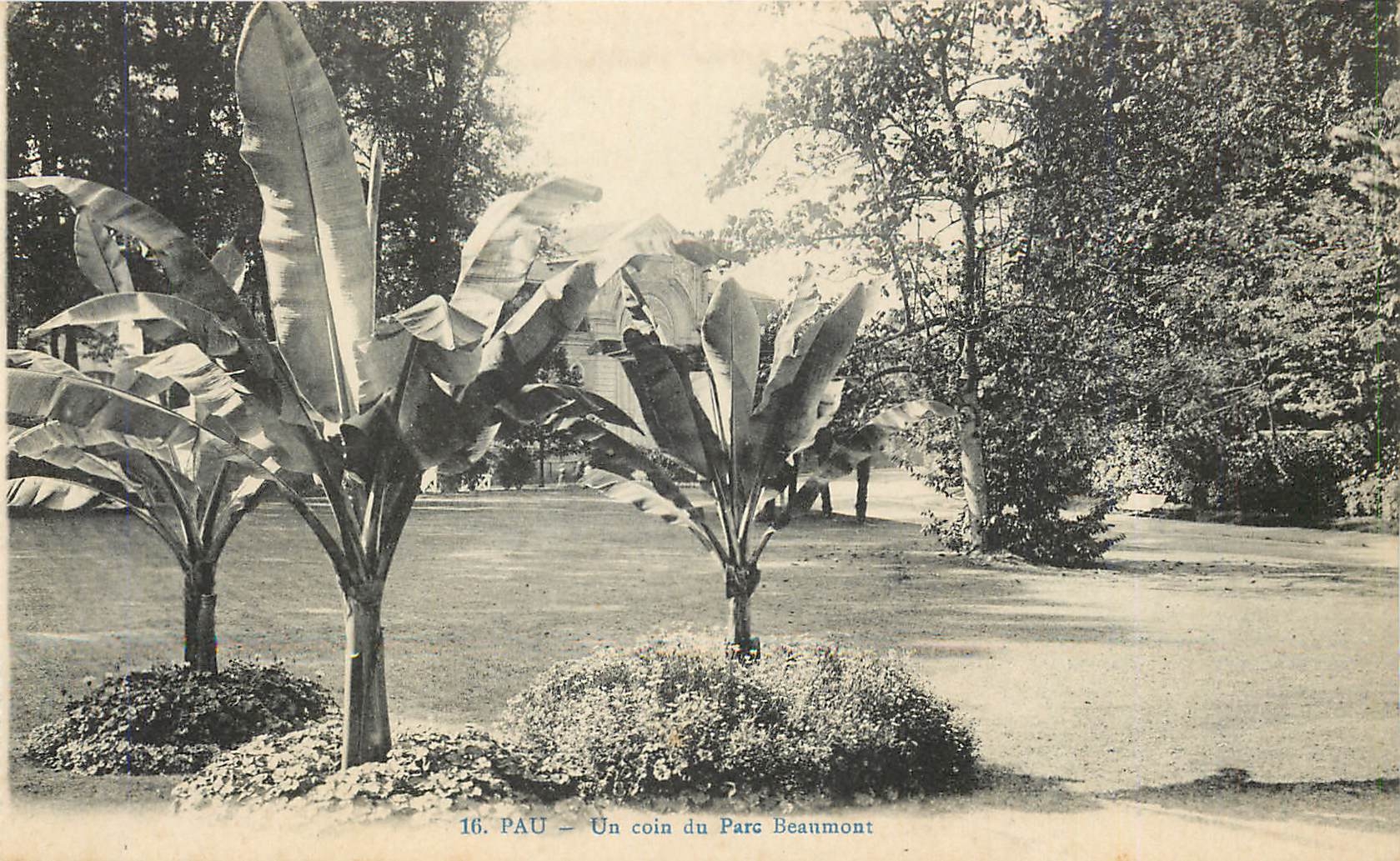 CPA Pau Un coin du Parc Beaumont 