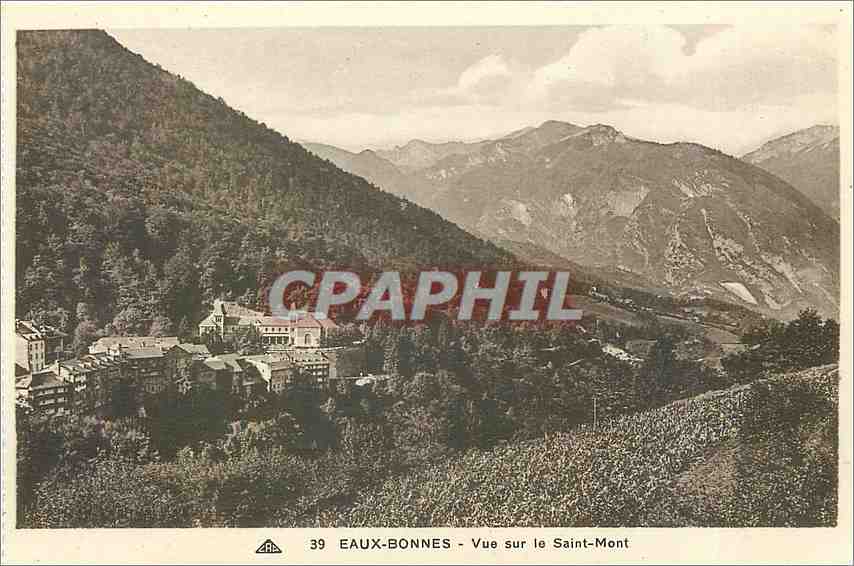 CPA Eaux Bonnes Vue sur le Saint Mont 