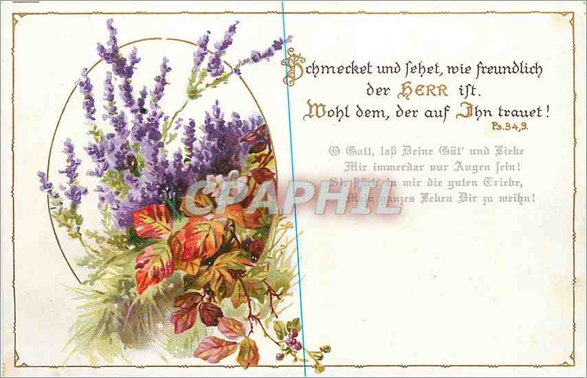 CPA Fleurs